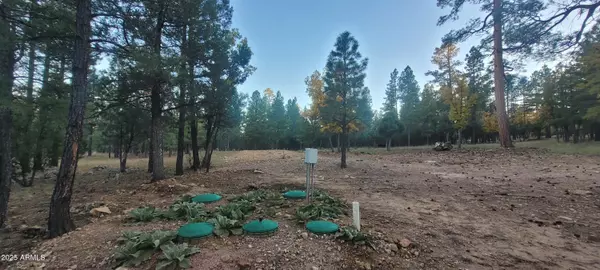 Happy Jack, AZ 86024,2857 SPARROW Drive #22