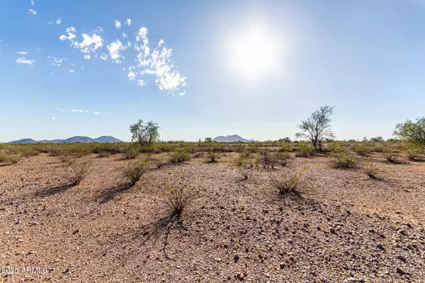 Tonopah, AZ 85354,571 N 407th Avenue #-