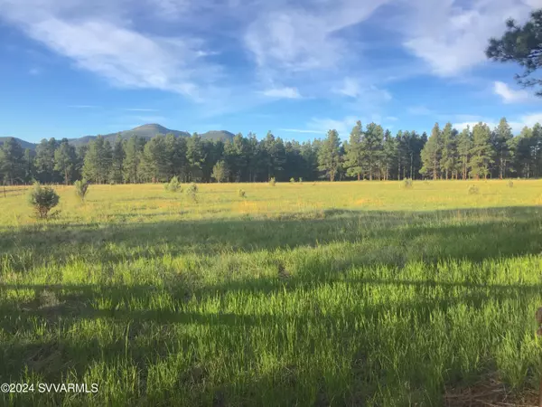 Williams, AZ 86046,581 COOPER RANCH Road #202-18-006