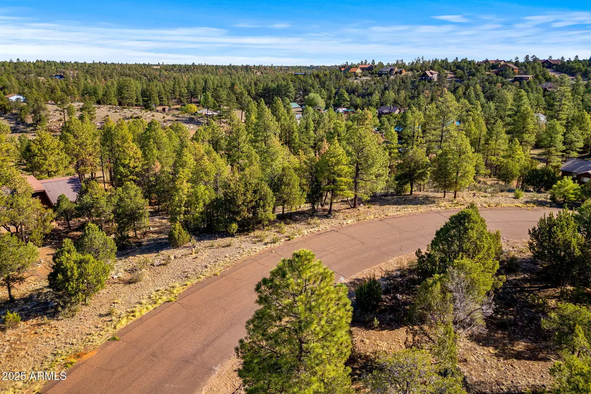 Overgaard, AZ 85933,2794 SKYHAWK Drive #140