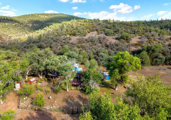 Young, AZ 85554,3995 W Forest Svc Rd 249 --