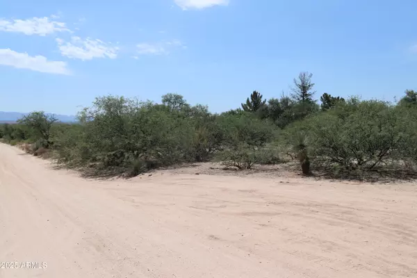 Cochise, AZ 85606,S HWY 80 Way #0