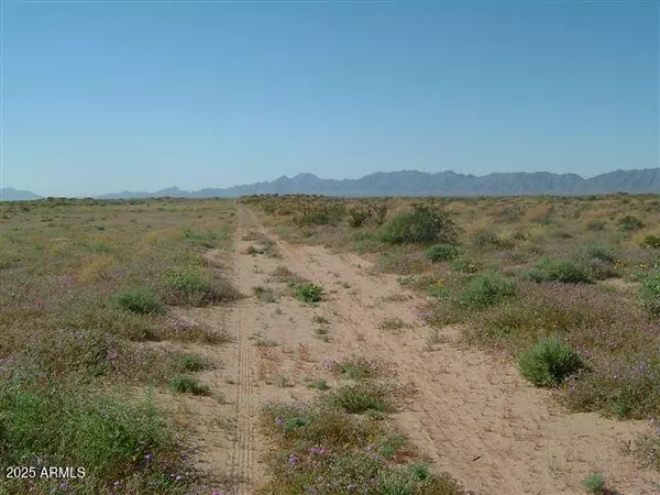 Dateland, AZ 85333,0 El Camino Del Sol -- #-