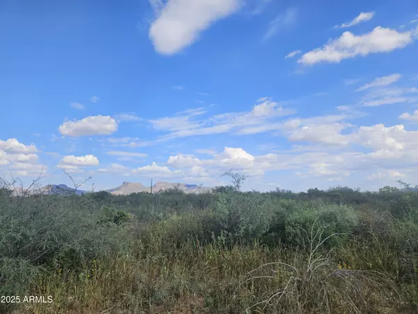 Douglas, AZ 85607,N La Espada Circle #2742