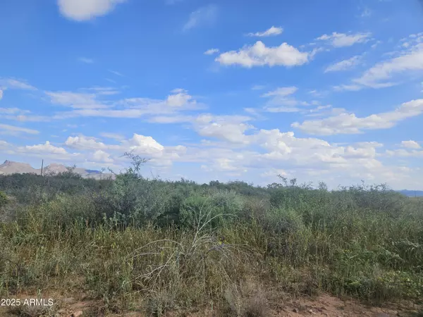 Douglas, AZ 85607,N La Espada Circle #2742