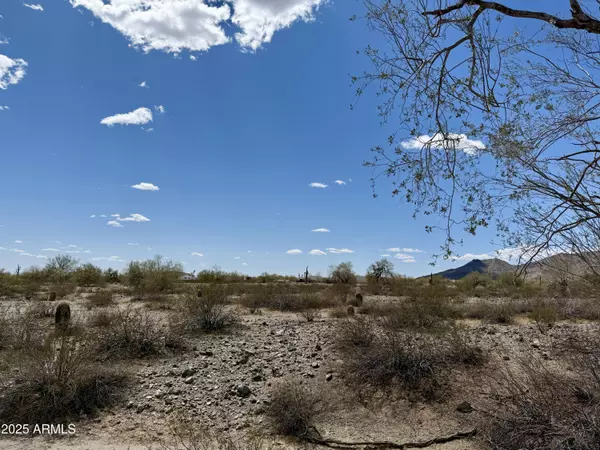 Buckeye, AZ 85396,1114 N RAINBOW Road #185