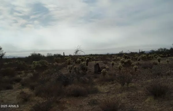 Unincorporated County, AZ 85390,33239 W RESTIN Road #93