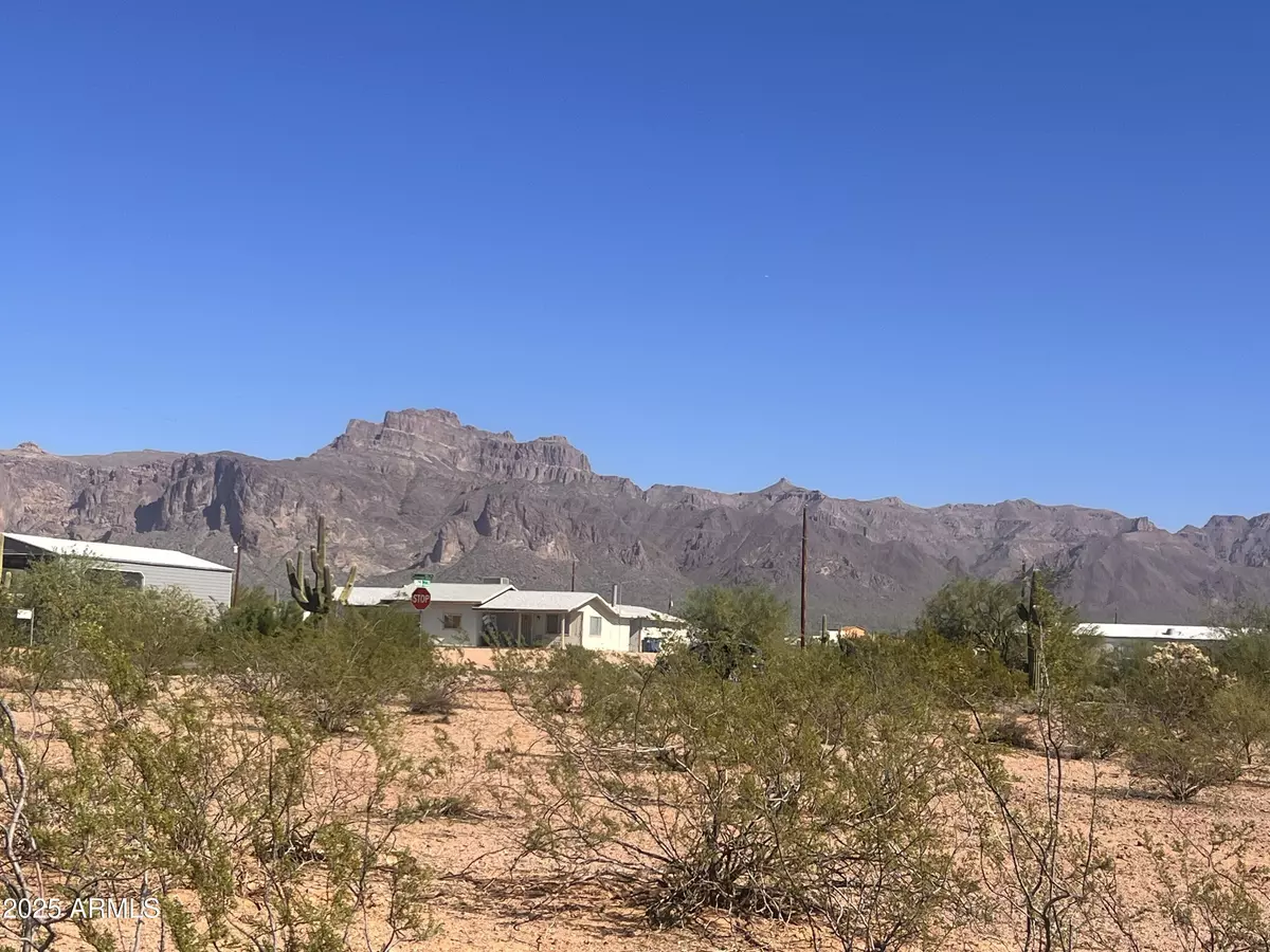Apache Junction, AZ 85119,0 S Cortez Road #A