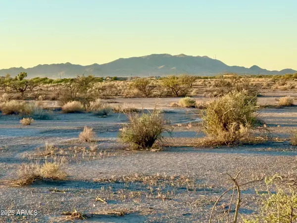 Casa Grande, AZ 85193,Silver Bell Rd Lot #1 4.67 Acr -- #-