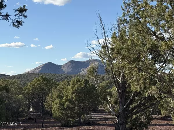 Williams, AZ 86046,17375 Beale Wagon Road #458 and 457