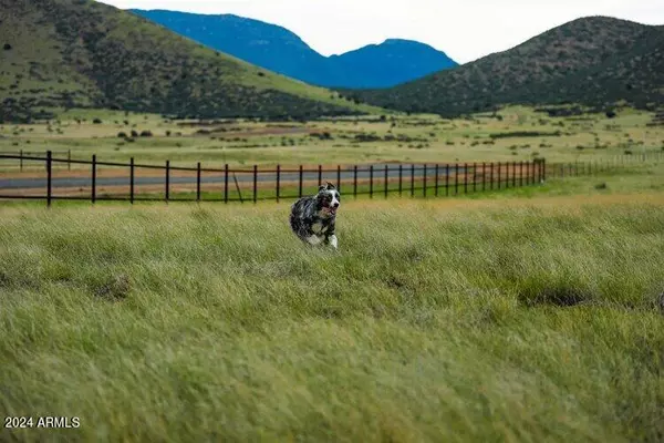 Prescott Valley, AZ 86315,10196 E Songbird Lot Way #18