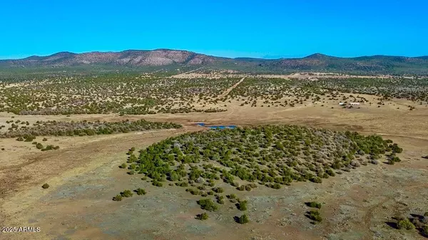 Seligman, AZ 86337,0 JOHNNY RIDGE RD 37 ACRES -- #1296