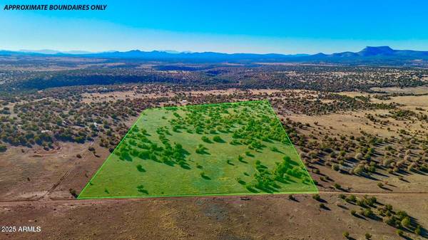 Seligman, AZ 86337,0 JOHNNY RIDGE RD 37 ACRES -- #1296