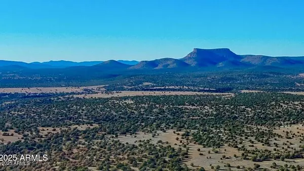 Seligman, AZ 86337,0 JOHNNY RIDGE RD 37 ACRES -- #1296