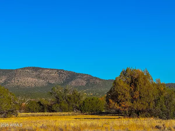 Seligman, AZ 86337,0 JOHNNY RIDGE RD 37 ACRES -- #1296