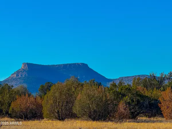 Seligman, AZ 86337,0 JOHNNY RIDGE RD 37 ACRES -- #1296