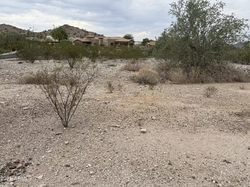 11222 S WILSON Lane #38, Goodyear, AZ 85338