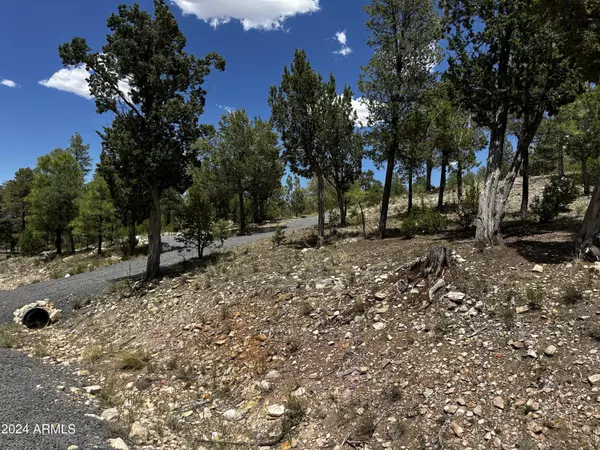 Heber, AZ 85928,3337 SAWMILL RIDGE Loop #98