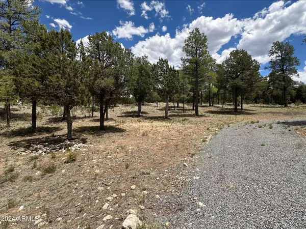 Heber, AZ 85928,3337 SAWMILL RIDGE Loop #98