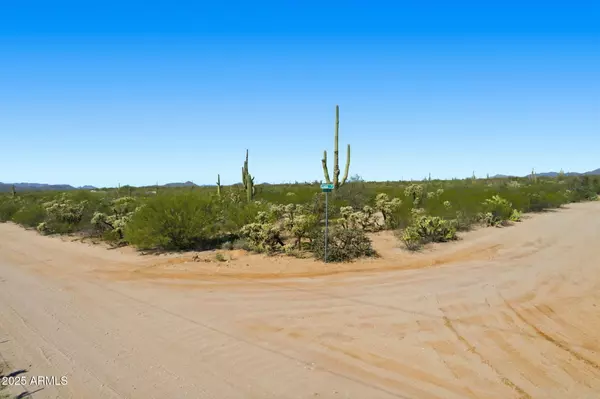 Tucson, AZ 85739,0 W Loxia Drive #-