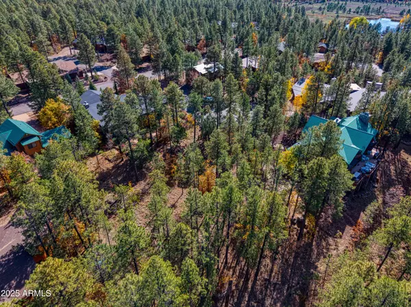 Pinetop, AZ 85935,2189 CREEKSIDE Court #19