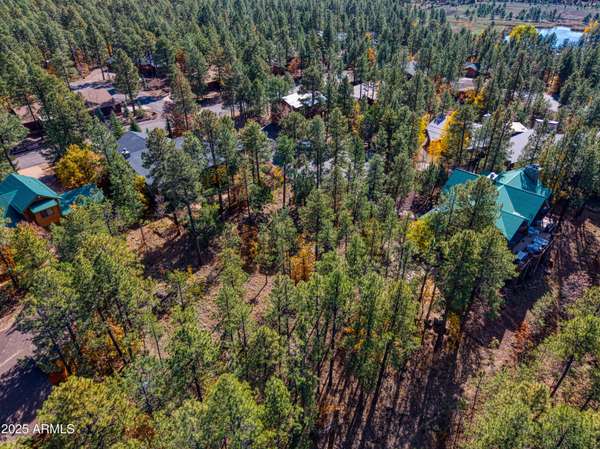 Pinetop, AZ 85935,2189 CREEKSIDE Court #19