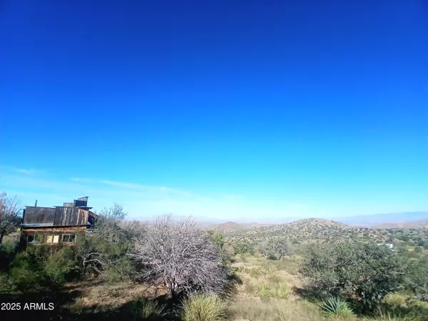 Elfrida, AZ 85610,11699 N Last Chance Road