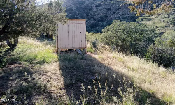 Elfrida, AZ 85610,11699 N Last Chance Road