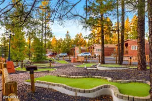 Pinetop, AZ 85935,5829 E BUCK SPRINGS Road #140