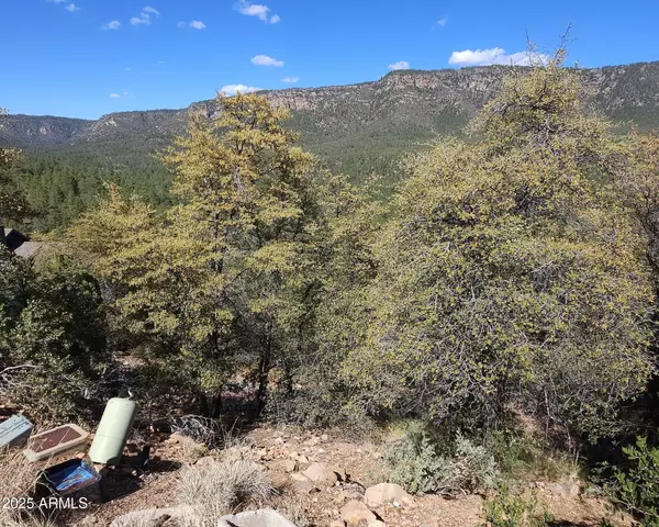 Pine, AZ 85544,5059 N HILLTOP Drive #147