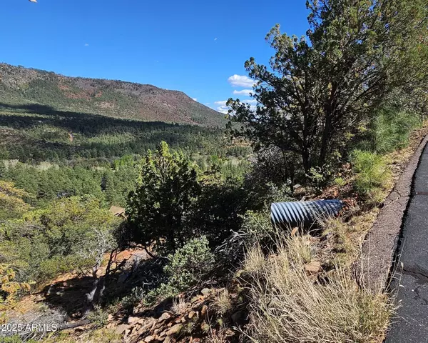 Pine, AZ 85544,5059 N HILLTOP Drive #147