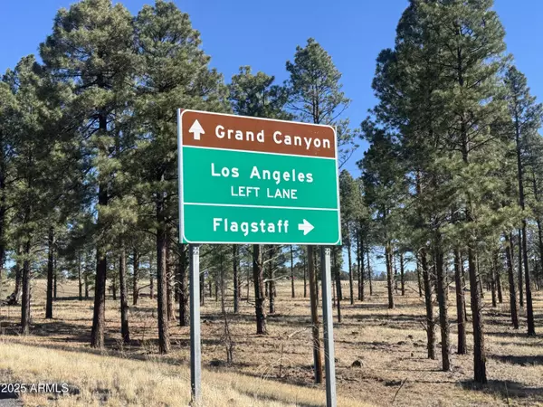 Williams, AZ 86046,238 E CORONADO Drive #396