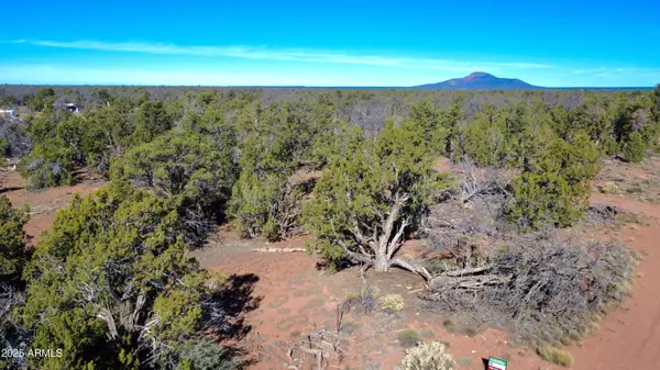 Williams, AZ 86046,5690 N CUBBY BEAR Way #126