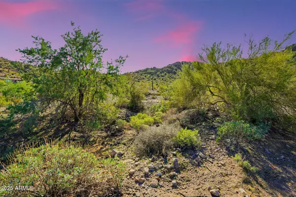 Goodyear, AZ 85338,9850 S San Marcos Drive W #25