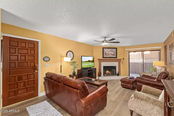 Scottsdale, AZ 85251,3031 N CIVIC CENTER Plaza #146