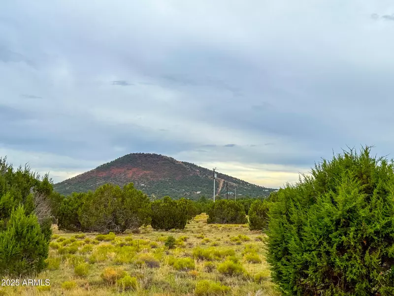 890 E HOCTOR Road #58, Williams, AZ 86046