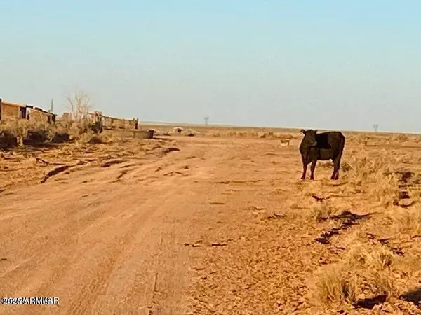 Holbrook, AZ 86025,Hodges Ln 39.05 Acres -- #-