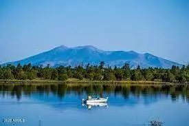 Mormon Lake, AZ 86038,732 LOTS A LUCK Lane #6