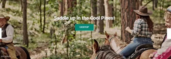 Mormon Lake, AZ 86038,732 LOTS A LUCK Lane #6