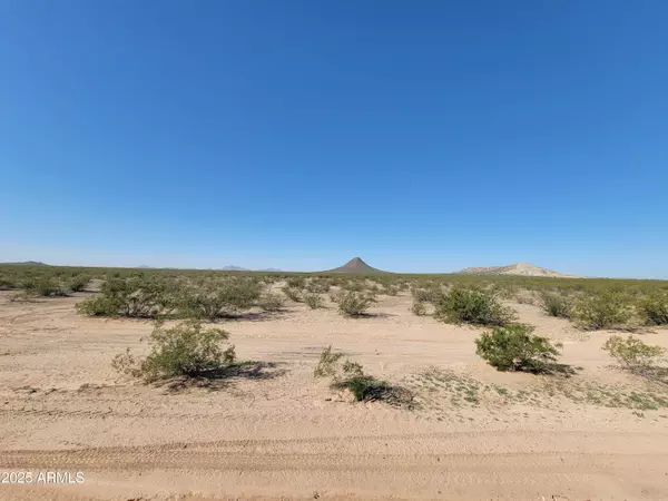 Florence, AZ 85132,3420 N Camden Drive