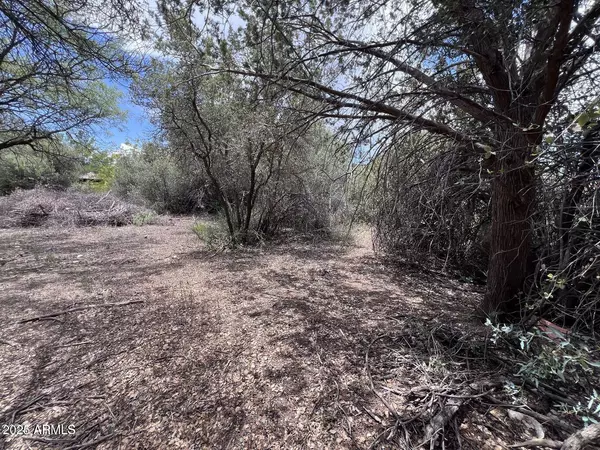 Mayer, AZ 86333,20779 E LARRY Lane #2509