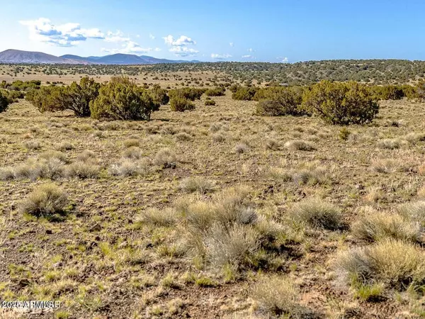 Concho, AZ 85924,Co Rd 5106 Lot #1 1.1 Acres -- #-