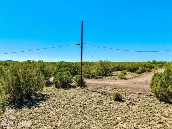 Concho, AZ 85924,128 Co Rd 8061 1.27 Acres -- #-