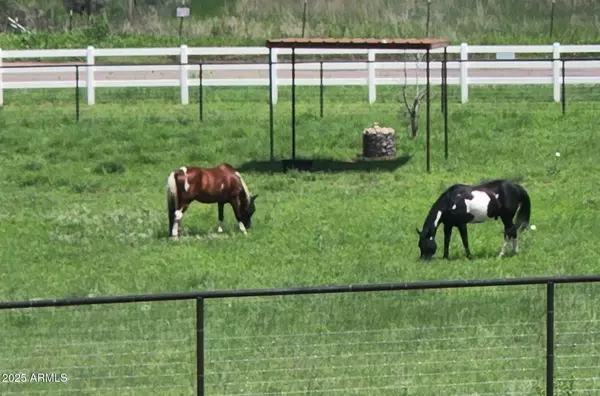 Sonoita, AZ 85637,4 MUSTANG Trail