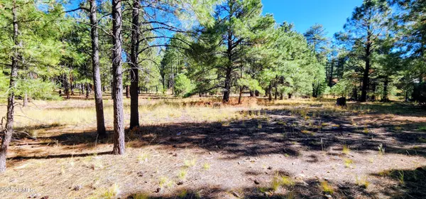 Forest Lakes, AZ 85931,1958 FERRET Circle #260