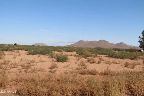 Pearce, AZ 85625,88 E Antelope Road #34