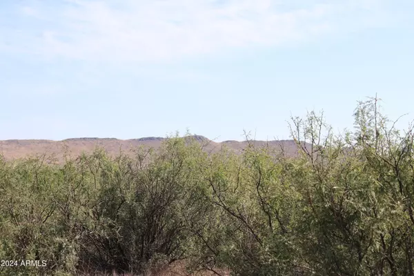 Pearce, AZ 85625,88 E Antelope Road #34