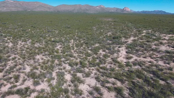 Douglas, AZ 85607,648 La Deffensa Road #166