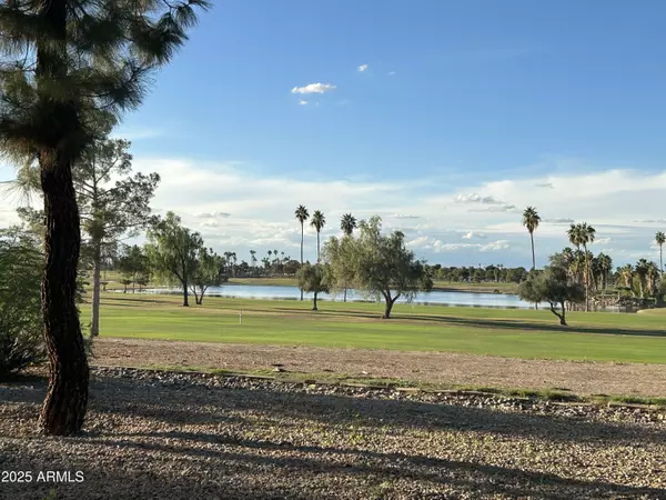 19446 N STAR RIDGE Drive, Sun City West, AZ 85375