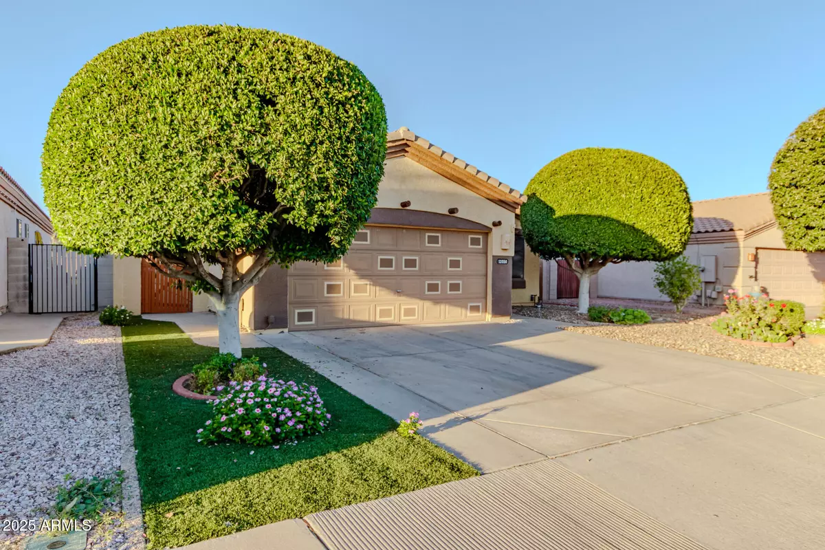 Surprise, AZ 85374,13558 W YOUNG Street